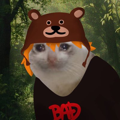 A cat wears a brown bear trapper hat and a black "BAD" shirt against a forest backdrop, matching the post's playful tone about switching profile pictures to honor the "cashcat" meme.