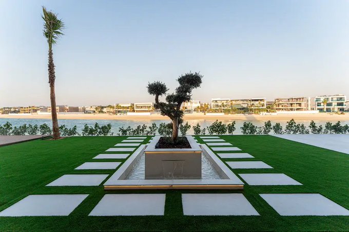 A scenic view of a manicured lawn with white square stepping stones leading to a central planter with an olive tree and fire feature, overlooking a beach and modern resort buildings under a clear sky.