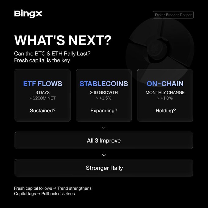An infographic from BingX titled 'WHAT'S NEXT? Can the BTC & ETH Rally Last?' showing three metrics: ETF FLOWS (3 DAYS >$200M NET, Sustained?), STABLECOINS (30D GROWTH >+1.5%, Expanding?), and ON-CHAIN (MONTHLY CHANGE >+1.0%, Holding?), with the conclusion that if all three improve, a 'Stronger Rally' follows.