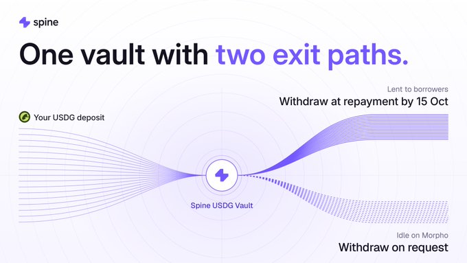 A promotional graphic titled 'One vault with two exit paths' showing a USDC vault splitting into 'Lent to borrowers' and 'Idle on Morpho' withdrawal options.