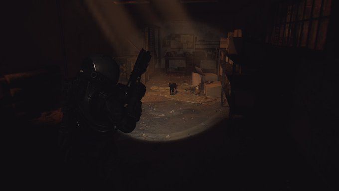 A dark, atmospheric scene shows a tactical operator in a helmet with a flashlight, illuminating a small black cat in a dimly lit, cluttered warehouse or storage area.
