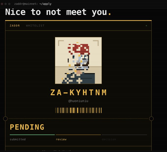 A digital whitelist application screen displays 'Nice to not meet you.' with a pixel art avatar, username 'ZA-KYHTNM', and a 'PENDING' status.