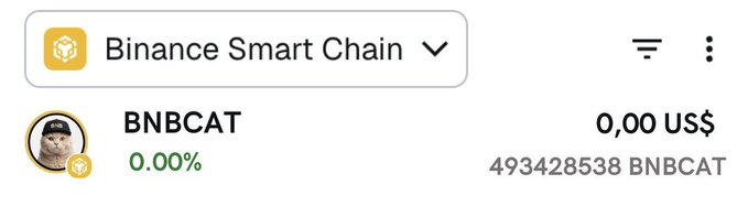 The image shows a Binance Smart Chain wallet interface displaying a balance of 0.00 US$ but 4,934,285,38 BNBCAT tokens, which contrasts with the post's promise of only 100,000 BNBCAT per wallet—suggesting the airdrop may have oversent tokens or that the screenshot is from a different source unrelated to the claimed 24-hour limited giveaway.