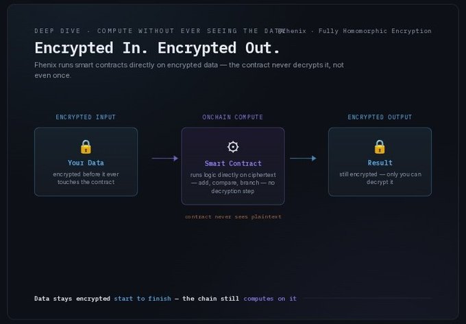 An infographic titled 'Encrypted In. Encrypted Out.' explaining Phenix's Fully Homomorphic Encryption, showing three stages: Your Data (encrypted input), Smart Contract (onchain compute), and Result (encrypted output).