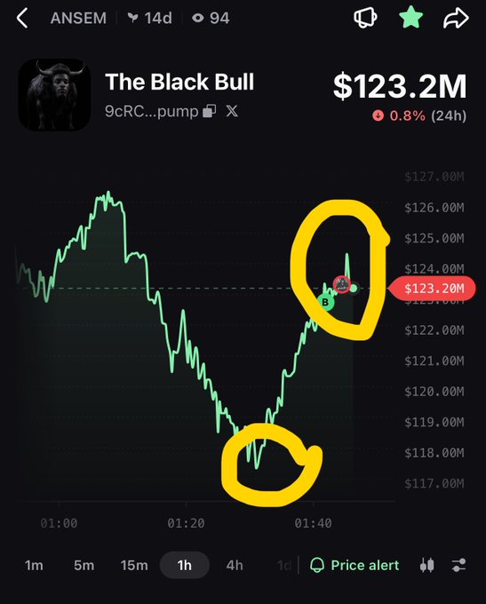 A crypto trading chart shows "The Black Bull" (9cRC...pump) at $123.2M, down 0.8% in 24 hours, with yellow circles highlighting a dip around $118M and a bounce near $124M.