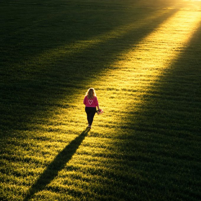 An aerial view of a person wearing a pink top with a white heart design walking through a sunlit grassy field during golden hour.