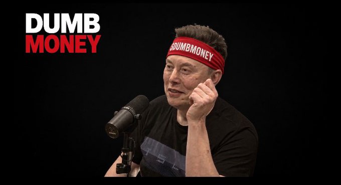 Elon Musk wearing a red '#DUMBMONEY' headband sits in front of a microphone next to the 'DUMB MONEY' logo.