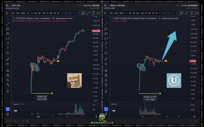 A split-screen cryptocurrency trading chart comparing $ZCAT/ZEC (priced at $0.1309, up 24.12%) with $USEFUL/USELESS (priced at $0.001629, down 48.12%), both shown on Raydium with highlighted price patterns (circled breakouts at 36 bars/2d and 43 bars/1d 19h respectively) and a large blue arrow pointing upward on the right chart, visually supporting the post's speculation that $USEFUL/USELESS may replicate $ZCAT's breakout performance.