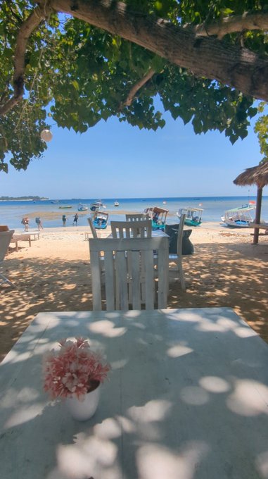A scenic view from a shaded beachside table looking out toward the ocean, with wooden chairs, boats on the sand, and a small potted flower in the foreground.