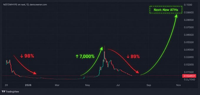 A TradingView chart of $NEST on a 1D timeframe displays dramatic price swings, including a 98% drop, a 7,000% surge, an 89% decline, and a projected rally labeled "Next: New ATHs" heading toward 0.1000, visually reinforcing the poster's contrarian thesis of buying the dip despite the bear market conditions affecting $HYPE and hyperEVM.