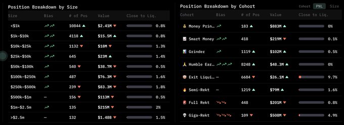 A position breakdown dashboard displaying cohort data by size and category, including groups like Money Prinz, Smart Money, Grinder, and Humble Ear..., with values and percentages shown.