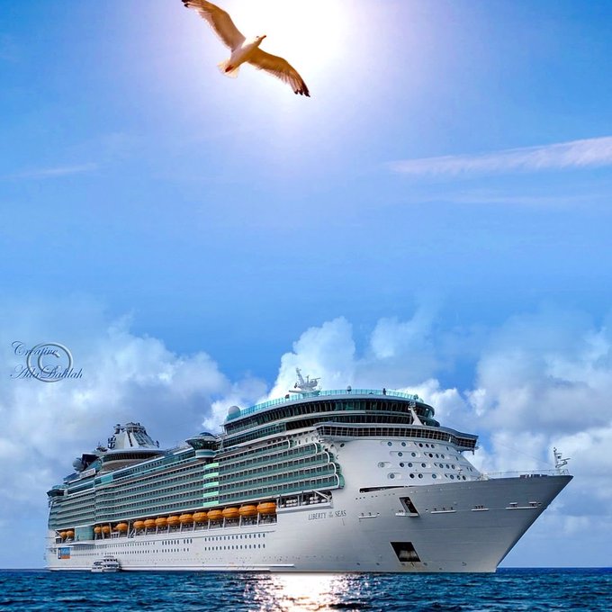 A large white cruise ship labeled 'LIBERTY OF THE SEAS' sails on the ocean under a blue sky with clouds, while a seagull flies overhead in front of the sun.