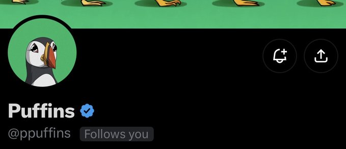A Twitter profile page for 'Puffins' (@ppuffins) with a verified checkmark showing a puffin avatar on a green background.