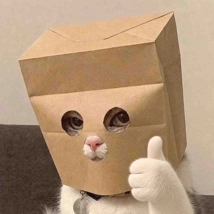 A white cat gives a thumbs up with its paw while wearing a brown paper bag on its head with holes cut out for its eyes and nose.