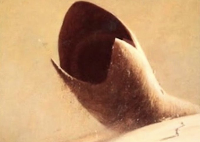 A sepia-toned photograph of an open seashell resting on sand, displaying its smooth curved interior and textured exterior.