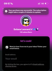 A mobile app screenshot showing a YouTube channel notification for 'Solana Leonard X' celebrating 100 subscribers, with an email subscription form below stating 'let's cook!' on a pink background.