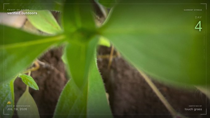 A close-up photo of a green plant sprout emerging from soil, overlaid with text reading 'PROOF OF GRASS verified outdoors,' 'CURRENT STREAM DAY 4,' 'DATE OF CERTIFICATION JUL 19, 2026,' and 'CERTIFIED BY touch grass.'