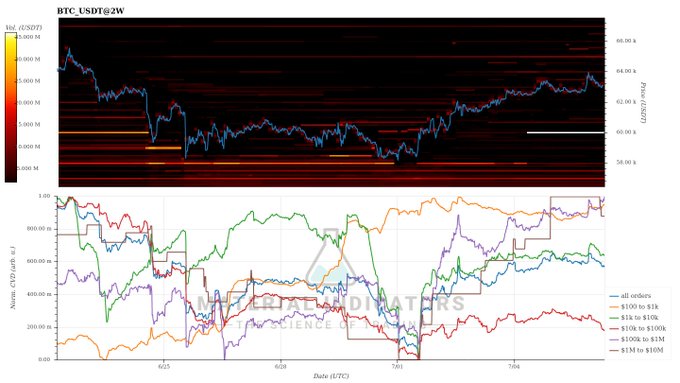 This image displays a two-panel chart for BTC/USD on a 2-week timeframe, with the top panel showing price action overlaid on a heat map highlighting significant volume clusters (yellow/orange zones) around the 60k price level, and the bottom panel tracking whale order book activity across various size tiers ($100-$1k, $1k-$10k, $10k-$100k, $100k-$1M, $1M-$10M) as percentage of total volume from May to July 2024. The chart visually supports the post's claim by showing prominent yellow volume support (buy walls) concentrated around the $60,000 level, indicating strong whale accumulation at that price zone.