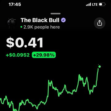 This image shows a cryptocurrency or stock trading chart for "The Black Bull" with a verified checkmark, displaying a current price of $0.41 with a +$0.0952 (+29.98%) gain, and showing 2.9K people viewing the asset. The chart illustrates the recent price action referenced in the post about someone pumping this asset to the $0.41 level.