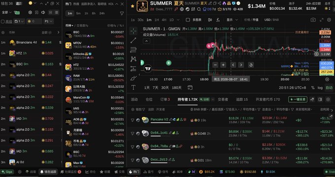 The image shows a cryptocurrency trading dashboard focused on the SUMMER token, displaying a 1-minute GMGN chart with a current price of approximately 0.0001456, a market cap of $1.34M, and 24-hour trading volume of 1.05M. The interface includes various other tokens listed on the left (BinanceAlpha 4d, HTZ, alpha 2.0, IAD 3m, AI 8d), along with trading panels showing recent transactions for tokens like Pancake V2, Doge tokens, and Deep_Throat, supporting the user's all-in YOLO investment thesis on SUMMER.