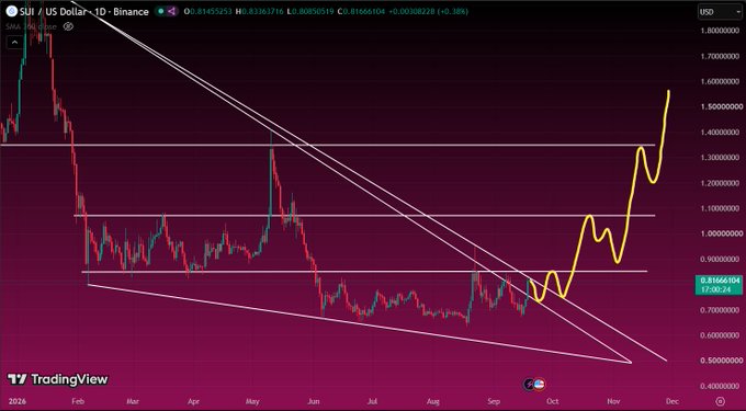 A TradingView daily chart for SUI / US Dollar on Binance displays a falling wedge pattern breakout, with the current price at 1.81666584 USD.