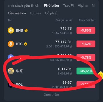 A cryptocurrency exchange interface in Vietnamese showing a list of coins (BNB, BTC, ETH, 牛米/NIUMI, SOL) with one coin (牛米) circled in red showing a +45.61% gain at price 0.11701.