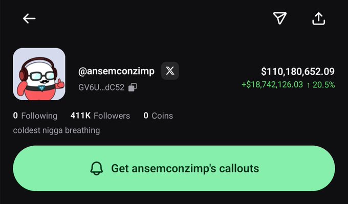 This image shows the profile of @ansemconzimp with a wallet value of $110,180,652.09 and 411K followers, supporting the post about their significant wealth.