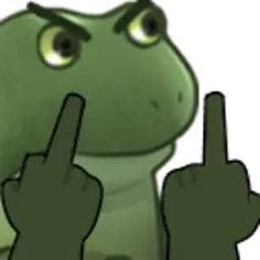 A Pepe the Frog meme showing the character pointing both middle fingers upward with a defiant expression.