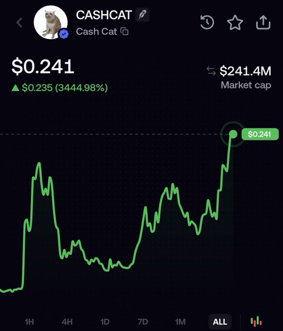 A cryptocurrency price chart for "CASHCAT" (Cash Cat) shows the token priced at $0.241 with a 3444.98% gain, displaying a market cap of $241.4M—aligning with the announcement that Cashcat has reached a new all-time high market cap of $250M.
