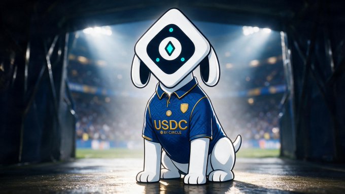 An illustration of a dog wearing a blue jersey with 'USDC BY CIRCLE' branding and a diamond-shaped head with glowing eyes, set in a stadium environment.