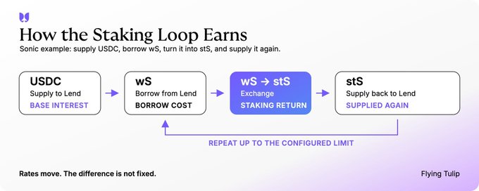 Diagram titled “How the Staking Loop Earns” shows USDC supplied to lending, wS borrowed, converted via “wS → stS” for a staking return, then stS is supplied again, repeating up to a configured limit; it notes rates move and the difference is not fixed. This illustrates the lending-and-staking loop underlying ftUSD yields quoted in the post: 6.76% APY on Ethereum, 1.59% on BNB Smart Chain, and 9.57% on Sonic.