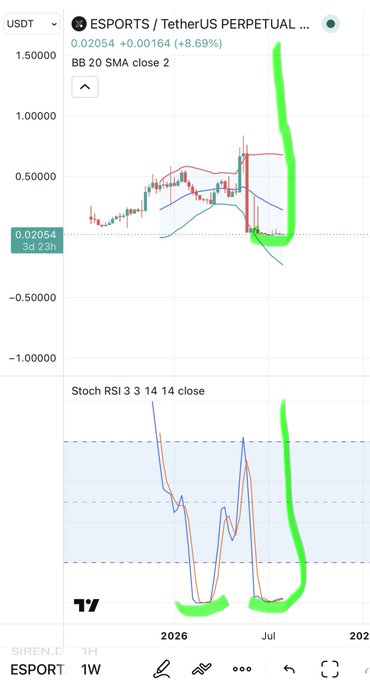 A financial chart for 'ESPORTS / TetherUS PERPETUAL' showing a price of 0.02054 (+8.69%), with green hand-drawn annotations circling recent price and RSI indicator movements.