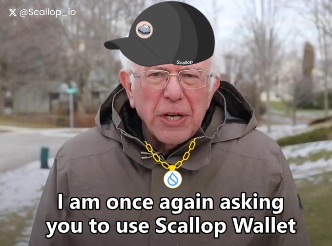 A photoshopped meme shows an elderly man outdoors in a winter jacket, with a black Scallop-branded cap and gold Scallop necklace digitally added on, captioned "I am once again asking you to use Scallop Wallet," parodying Bernie Sanders' famous meme format to promote the Scallop Wallet on Sui for the start of the week.