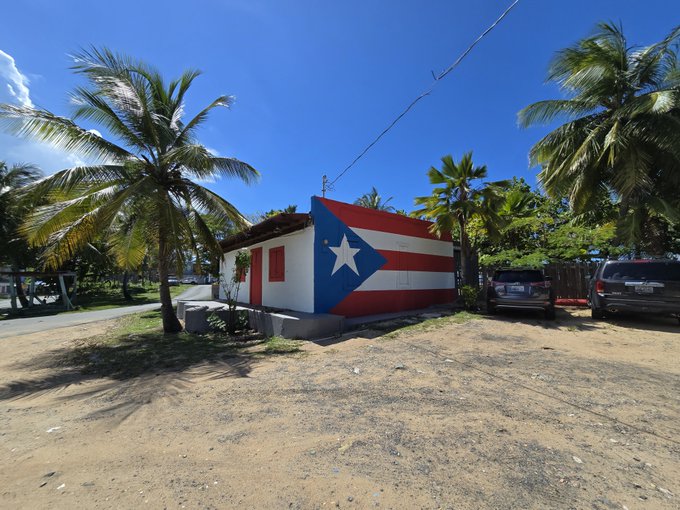 A small house with a Puerto Rican flag painted across its side exterior, surrounded by palm trees on a dirt lot under a blue sky.