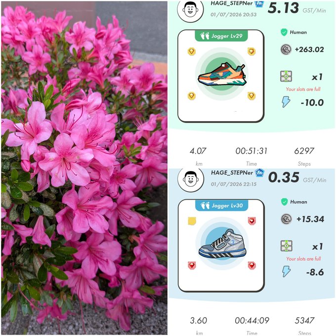 A split image showing pink azalea flowers on the left and two StepN fitness app screenshots on the right, displaying Jogger Lv29 (5.13 GST/Min, 4.07km, 6297 steps) and Jogger Lv30 (0.35 GST/Min, 3.60km, 5347 steps) sessions under user HAGE_STEPner.