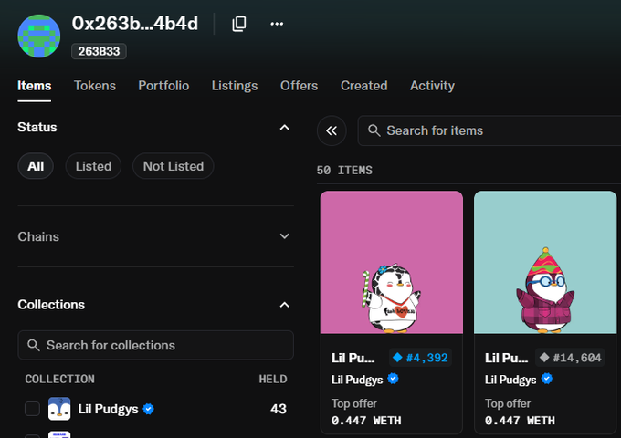 An OpenSea NFT profile for wallet '0x263b...4b4d' showing two 'Lil Pudgys' collection items - Lil Pudgys #4,392 (pink) and Lil Pudgys #14,604 (teal), each with a top offer of 0.447 WETH.