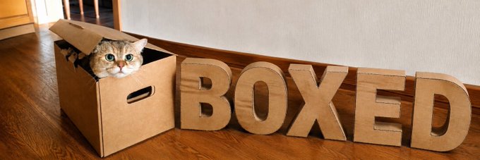 A gray tabby cat sits inside a cardboard box next to large cardboard letters spelling "BOXED," illustrating the "Boxed Cat" meme coin concept described in the post.