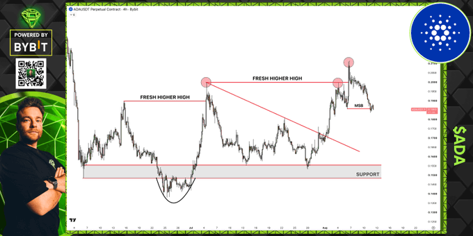 The image shows a financial chart of ADAUSD Perpetual Contract on Bybit, featuring a man in a black shirt on the left side and the Cardano (ADA) logo on the right. The chart is annotated with key technical levels labeled "FRESH HIGHER HIGH," "MSB" (Market Structure Break), and "SUPPORT," illustrating a bearish reversal pattern that aligns with the post's warning about ADA potentially starting a big reversal.