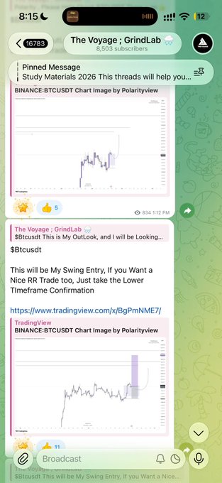 A Telegram channel called 'TheView' with 6,503 subscribers showing pinned messages with BTCUSDT TradingView chart images for cryptocurrency analysis.