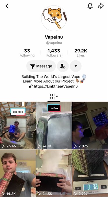 TikTok profile page for 'VapeInu' (@vapeinu) with 1,433 followers and 29.2K likes, bio reading 'Building The World's Largest Vape Learn More About our Project https://Linktr.ee/VapeInu', and a grid of vaping-related videos.
