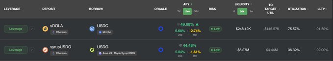 A cryptocurrency or DeFi protocol dashboard showing leverage positions for dOLA (Ethereum) with USDC collateral at 49.08% APY, and syrupUSDC (Ethereum) with USDG collateral at 44.48% APY, displaying borrow amounts, risks, and LTV ratios.
