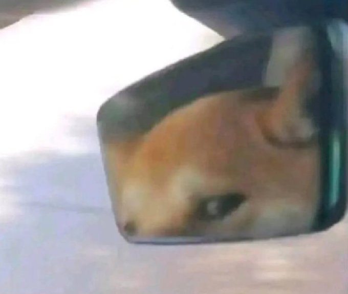 A blurry, close-up image of a cat's reflection in what appears to be a metallic pot or container.