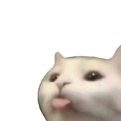 A close-up of a white cat with teary eyes and its tongue sticking out in a "bleh" expression, humorously paired with a post promoting a cat-themed meme coin to its community.