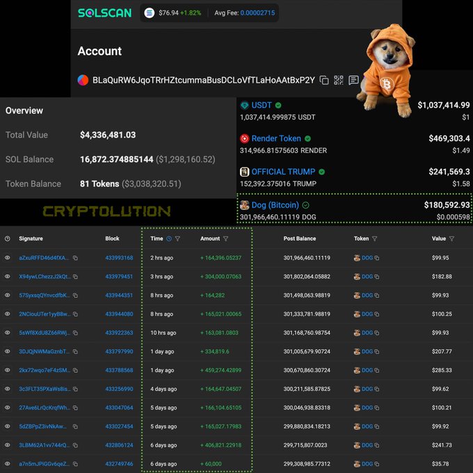 A Solscan blockchain account overview showing a wallet with a total value of $4,336,481.03, featuring a Shiba Inu dog in an orange Bitcoin hoodie, with 'CRYPTOLUTION' labeled next to a large transaction of Dog (Bitcoin) worth $180,592.93.