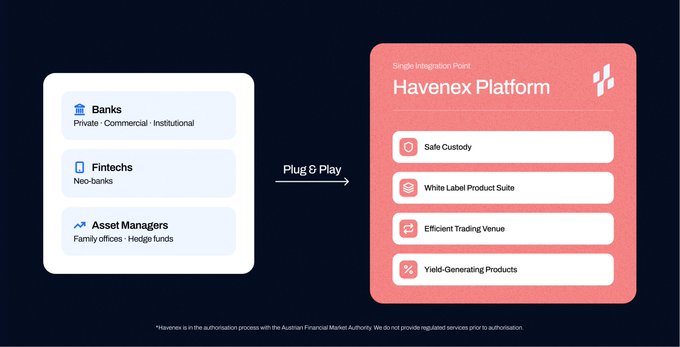 A business diagram showing the Havenex Platform's "Single Integration Point" that serves Banks, Fintechs, and Asset Managers via "Plug & Play," offering services like Safe Custody, White Label Product Suite, Efficient Trading Venue, and Yield-Generating Products.