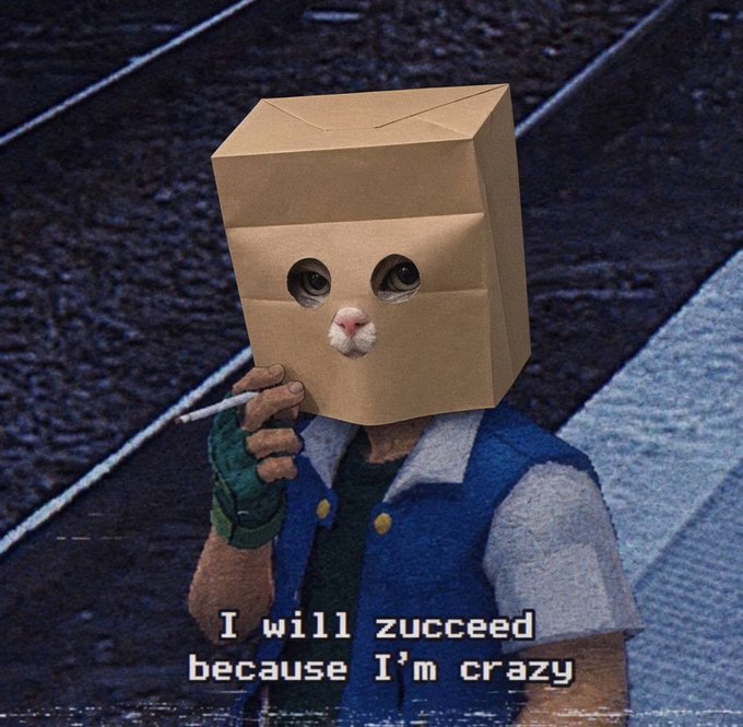 A meme image of a video game character wearing a cardboard box over its head with cat eyes drawn on it, smoking a cigarette, with caption 'I will zucceeed because I'm crazy.'