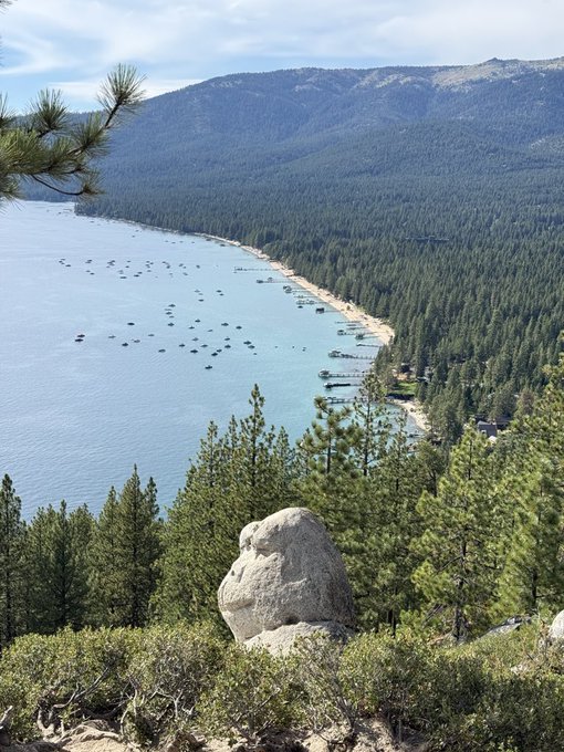 A scenic overlook of a large blue lake dotted with numerous boats, surrounded by dense evergreen forests and mountains, with a large white boulder and pine tree in the foreground.