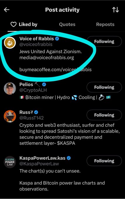 Screenshot of a social media 'Post activity' page showing users who liked a post, with 'Voice of Rabbis (@voiceofrabbis)' highlighted in cyan, displaying their bio about Jews uniting against Zionism.