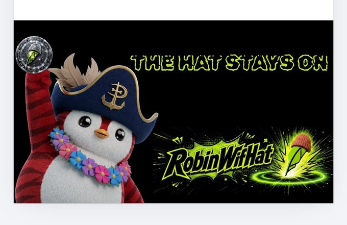 A graphic features a plush penguin mascot wearing a blue pirate hat with an anchor symbol and a colorful flower lei, alongside the text 'THE HAT STAYS ON' and a 'RobinWifHat' logo with a green glowing hat.