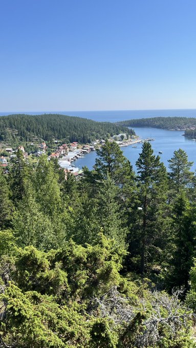 A scenic elevated view of a coastal inlet with a marina, surrounded by dense evergreen forests under a clear blue sky.